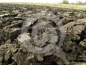 Plowed Ukrainian chernozem closeup.