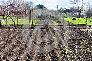 Plowed vegetable beds and tiller in village