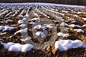 Plowed winter farmland field covered snow