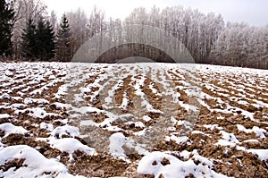 Plowed winter farmland field covered snow