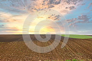 Plowed and young green wheat field landscape