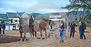 Plowing at Daviot Estate