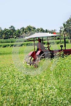 Plowing farmer