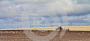 Plowing field in Thy, western Denmark