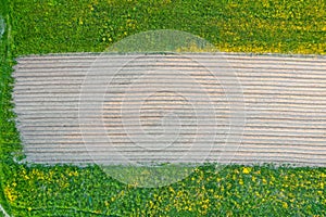 Plowing land furrows for planting agronomical plants among the countryside of grass and meadows trees, aerial view from above