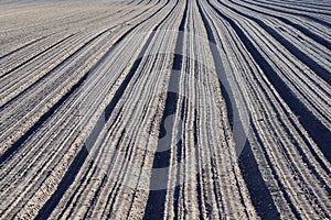 plows by a field of Toten