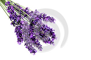 Plucked lavender