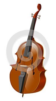 Plucked musical instrument - double bass