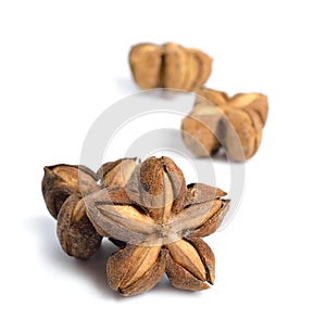 Plukenetia volubilis, commonly known as sacha inchi, sacha peanut, mountain peanut. Dried fruit isolated