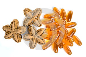 Plukenetia volubilis, sacha peanut, or sacha inchi with soft gels capsules on white background