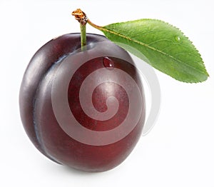 Plum photo