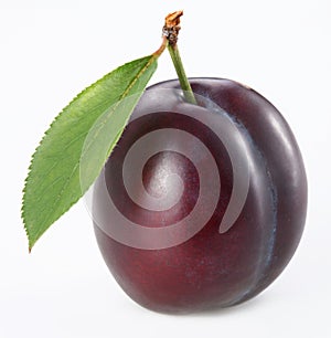 Plum photo