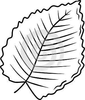Plum apple cherry leaf drawing in black isolated on white background. Hand drawn vector sketch illustration in simple doodle