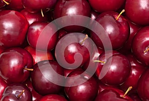 Plum background