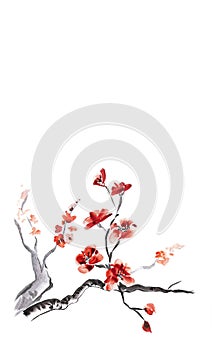 Plum blossom