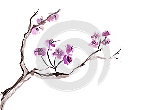 Plum blossom