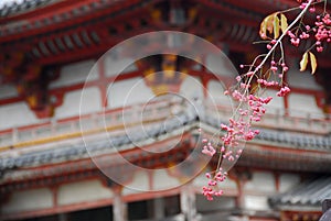 Plum blossom temple