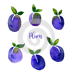 Plum blue violet watercolor set images. Bright hand painted berries isolated on white background. Collection in modern trendy