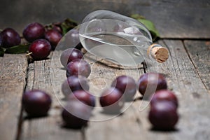 Plum brandy, bottle of Rakija