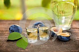 Plum brandy slivovitsa in shot glasses