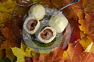 Plum dumplings on the plate on real autumnal colorful leaves with white sugar icing, tasty czech cuisine