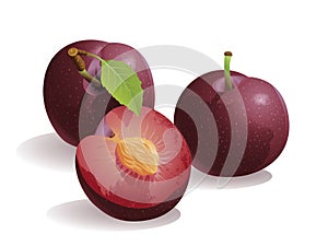 Plum Fruit