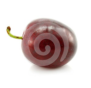 Plum fruit isolated on white