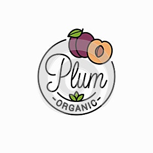 Plum fruit logo. Round linear logo of plum slice