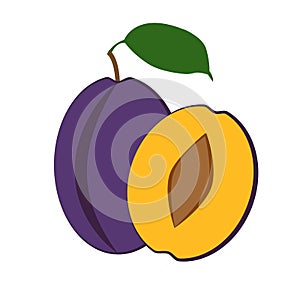 Plum fruit and slice with leaf on white background. Vector illustration