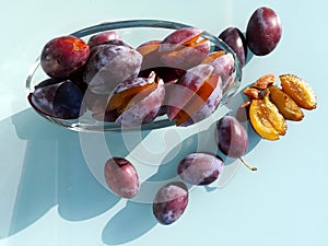 Plum pitter in action