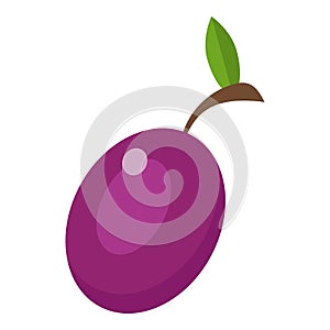 Plum icon, flat style