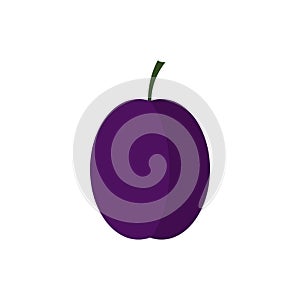Plum icon in flat style