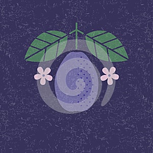 Plum illustration. Plum with leaves and flowers on shabby background. Flat design.