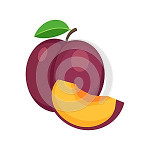 Plum isolated on white background. Vector illustration