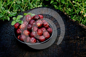 Plum Ju-li. the fruit is similar to the Red Ban Luang species. But the result will be smaller