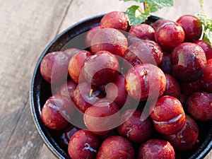 Plum Ju-li. the fruit is similar to the Red Ban Luang species. But the result will be smaller