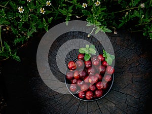 Plum Ju-li. the fruit is similar to the Red Ban Luang species. But the result will be smaller