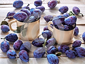 The plum lie in tin mugs and on a wooden background