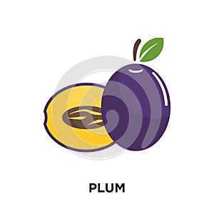 plum logo isolated on white background for your web, mobile and