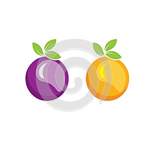 Plum and orange fruit with leaf vector