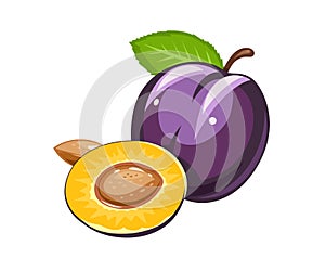 Plum. Ripe juicy fruit with nut and leaf