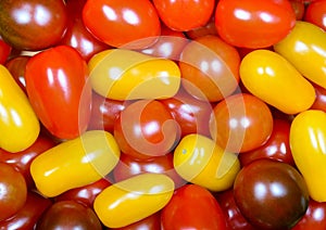 The plum-shaped tomatoes and cherry assorted colors closeup