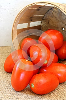 Plum tomatoes and farm basket