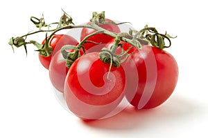 Plum Vine Tomatoes