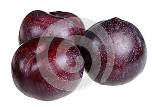 Plum on a white background