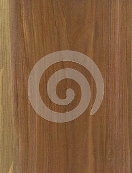 Plum wood veneer texture