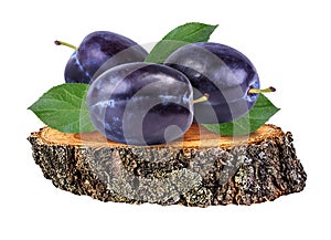 Plum on a wooden ÃÂross section of tree trunk isolated on white