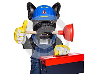 Plumber dog with plunger