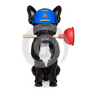 Plumber dog with plunger