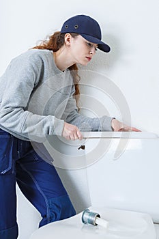 plumber and female apprentice fitting central heating